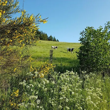 別荘 Auw Farm Life Escape Auw bei Prum